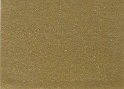 1984 Ford Pastel Desert Tan Metallic